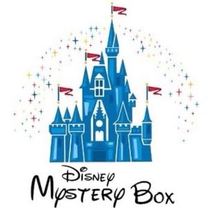 5 piece Disney Mystery Authentic Box